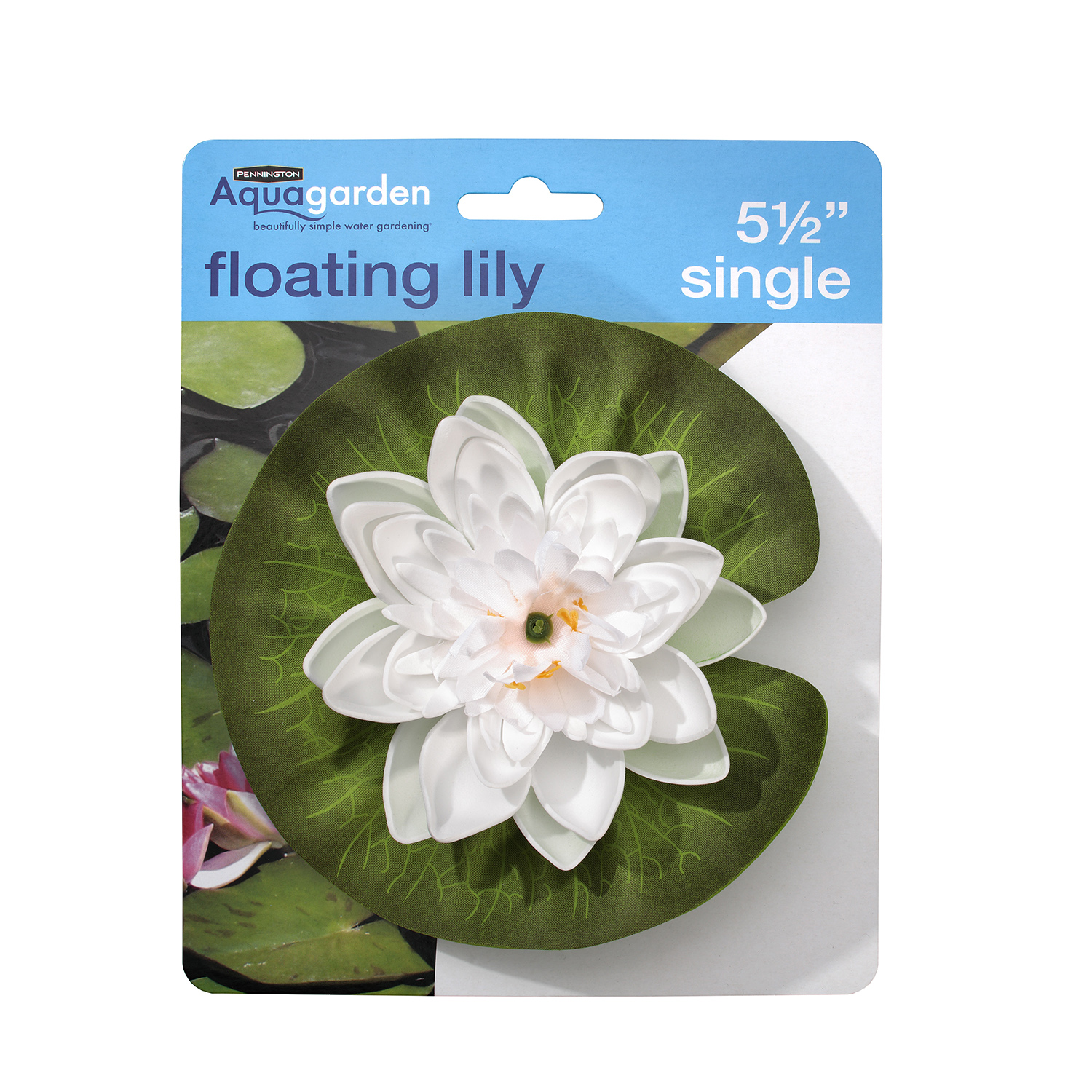 Floating Single White Lily Pennington Aquagarden