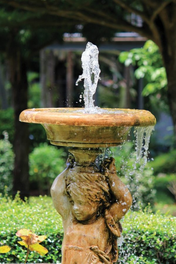 How to choose a Fountain Pump Pennington Aquagarden