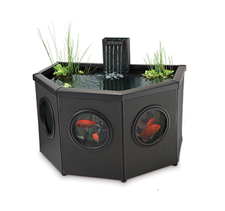 Enjoy the sound of water and sight of fish anywhere
